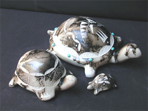 turtles