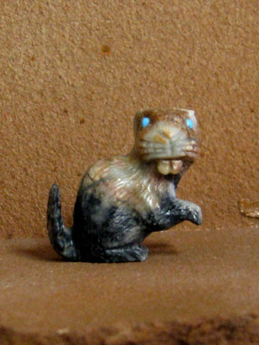 beaver