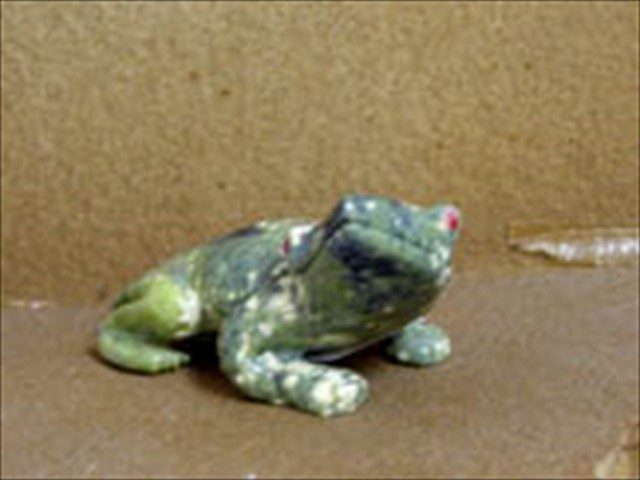 Serpentine Frog