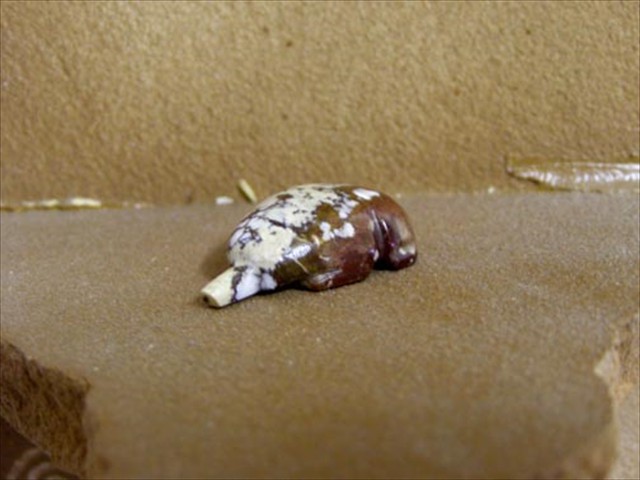 Mole Magnacite and Hematite