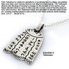 Gamber's Talisman Amulet